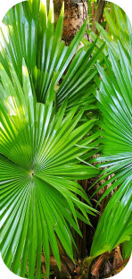 Reclaim Your Confidence and Enjoy Life Again!